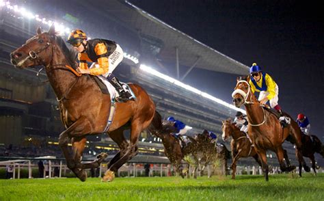1xBet Horse Racing Betting in Malaysia .